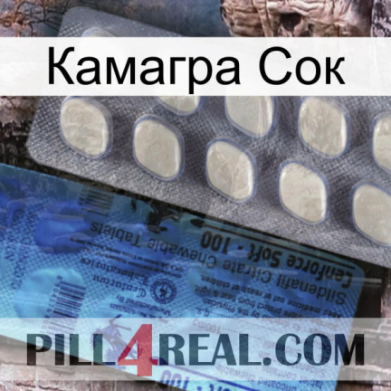 Камагра Сок 34